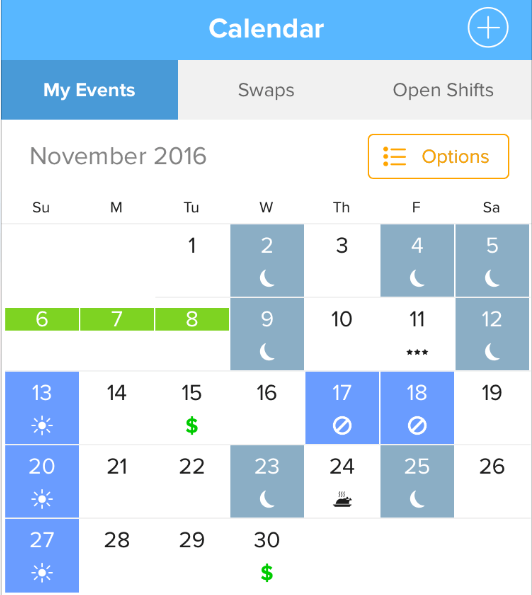 Nursegrid Holiday Icon Screen